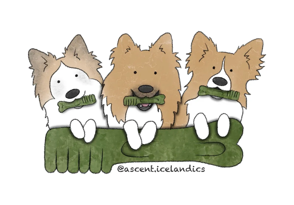 Illustration of Millie, Sunny, and Hitch holding dental chews